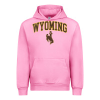 Fuchsia Pink Womens Wyoming Cowboys Apparel Fan Favorite Arch Urban Hoodie - longCreatives