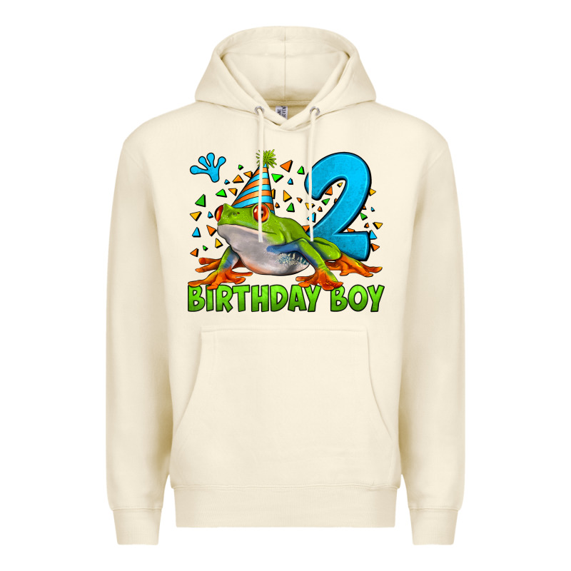 Birthday Boy Frog Age 2 Premium Hoodie by LillyAllenDesigns | Teevron