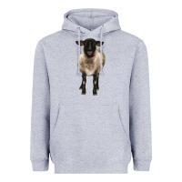 Heather Grey suffolk ewe front Heavyweight Hoodie - BarkalooDesign