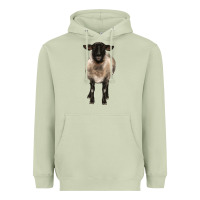Matcha suffolk ewe front Heavyweight Hoodie - BarkalooDesign