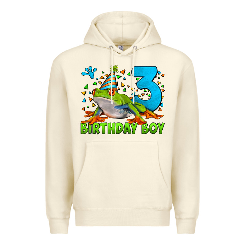 Birthday Boy Frog Age 3 Premium Hoodie by LillyAllenDesigns | Teevron
