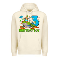 Sandshell birthday boy frog age 3 Premium Hoodie - LillyAllenDesigns