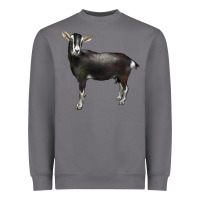Storm Alpine Goat Heavyweight Sweatshirt - LillyAllenDesigns