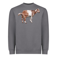 Storm Nubian Goat Heavyweight Sweatshirt - LillyAllenDesigns