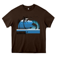 Chocolate Brown California The Perfect Wave Heavy Core Tee - Bettercallsaul