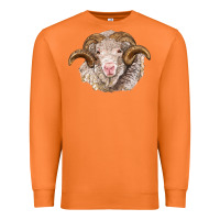 Carrot merino wool ram Premium Sweatshirt - BarkalooDesign