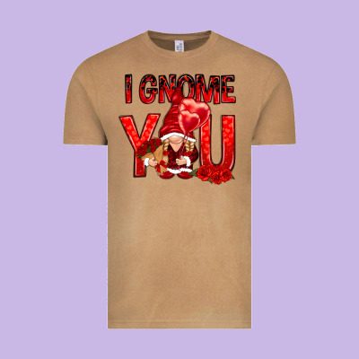 I Gnome You With Roses Valentine's Day Vintage Tee Designed By Howdyjamesfarm