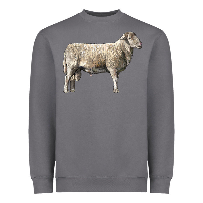 Katahdin Sheep Heavyweight Sweatshirt by LillyAllenDesigns | Teevron