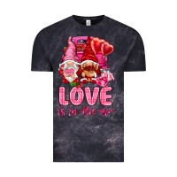 Love Is In The Air With Gnomies Valentine's Day Vintage Tee | Teevron
