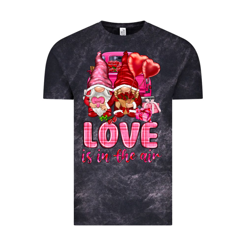 Love Is In The Air With Gnomies Valentine's Day Vintage Tee by HowdyJamesFarm | Teevron