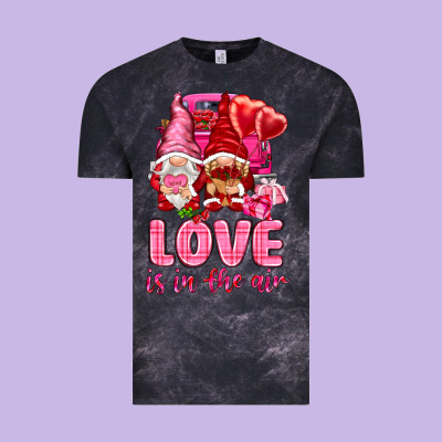 Love Is In The Air With Gnomies Valentine's Day Vintage Tee Designed By Howdyjamesfarm