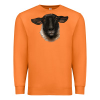 Carrot suffolk ewe head Premium Sweatshirt - BarkalooDesign