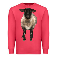 Cardinal suffolk ewe front Premium Sweatshirt - BarkalooDesign