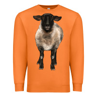 Carrot suffolk ewe front Premium Sweatshirt - BarkalooDesign