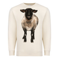 Sandshell suffolk ewe front Premium Sweatshirt - BarkalooDesign