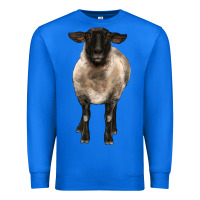 True Royal suffolk ewe front Premium Sweatshirt - BarkalooDesign