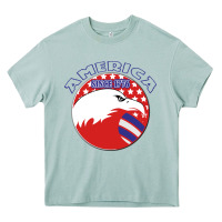 America Since 1776 Heavy Core Tee | Teevron