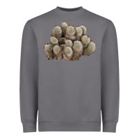 Storm brown flowered cactus Heavyweight Sweatshirt - LillyAllenDesigns