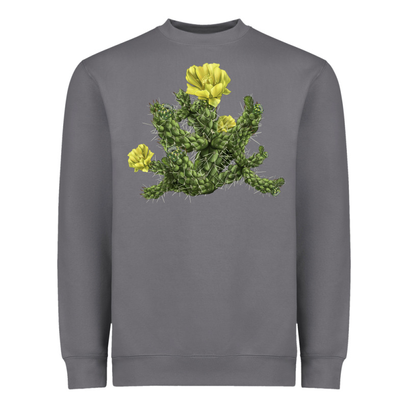 Whipple Cholla Cactus Heavyweight Sweatshirt by LillyAllenDesigns | Teevron