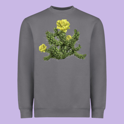 Whipple Cholla Cactus Heavyweight Sweatshirt Designed By Lillyallendesigns