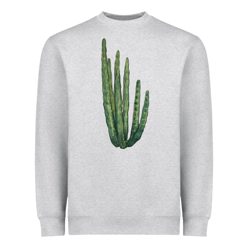Organ Pipe Cactus Heavyweight Sweatshirt by LillyAllenDesigns | Teevron