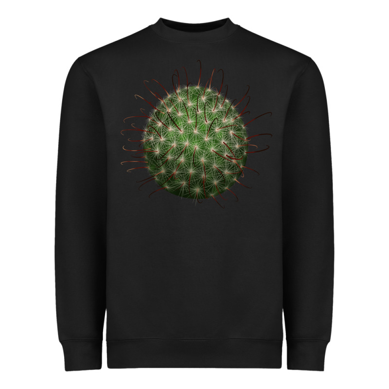 Arizona Fishhook Cactus Heavyweight Sweatshirt by LillyAllenDesigns | Teevron