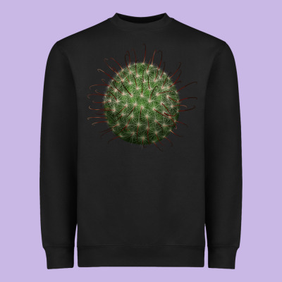 Arizona Fishhook Cactus Heavyweight Sweatshirt Designed By Lillyallendesigns