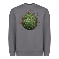 Storm arizona fishhook cactus Heavyweight Sweatshirt - LillyAllenDesigns