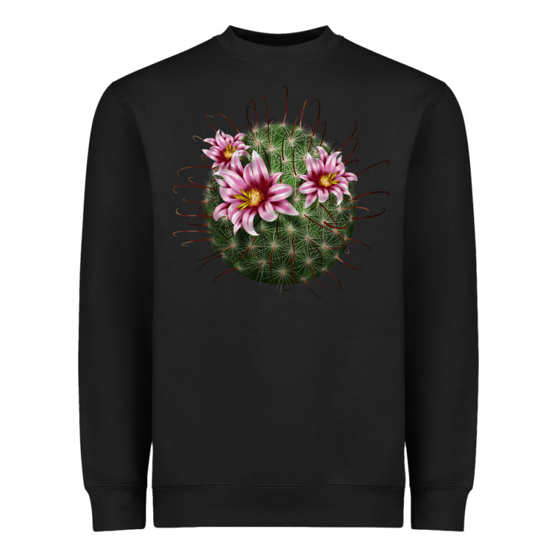 Arizona Fishhook Cactus Heavyweight Sweatshirt by LillyAllenDesigns | Teevron