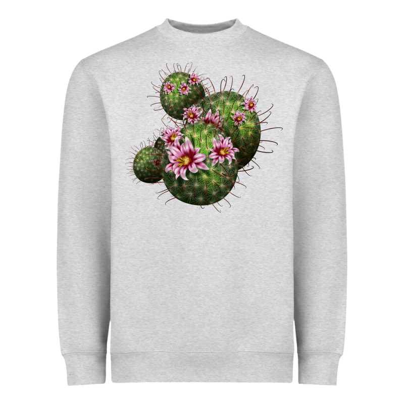 Arizona Fishhook Cacti Heavyweight Sweatshirt by LillyAllenDesigns | Teevron