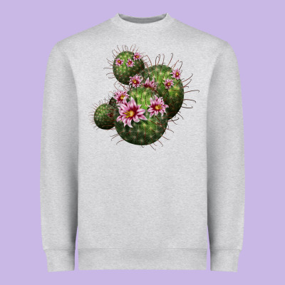 Arizona Fishhook Cacti Heavyweight Sweatshirt Designed By Lillyallendesigns