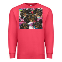 Cardinal dachshund Premium Sweatshirt - BarkalooDesign