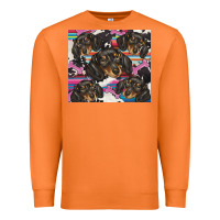 Carrot dachshund Premium Sweatshirt - BarkalooDesign