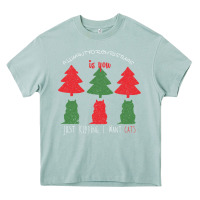 Arona All Want For Christmas is You Just Kidding I Want Cats Heavy Core Tee - Bettercallsaul