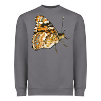 Storm Painted Lady Butterfly Heavyweight Sweatshirt - LillyAllenDesigns