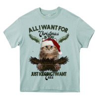 Arona All I Want For Christmas Is You Just Kidding I Want Cats Heavy Core Tee - Bettercallsaul