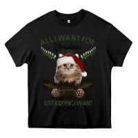 Black All I Want For Christmas Is You Just Kidding I Want Cats Heavy Core Tee - Bettercallsaul