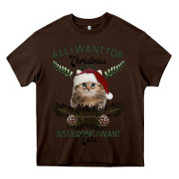 Chocolate Brown All I Want For Christmas Is You Just Kidding I Want Cats Heavy Core Tee - Bettercallsaul