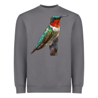 Storm Ruby Throated Hummingbird Bird Heavyweight Sweatshirt - LillyAllenDesigns