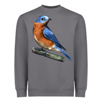 Storm Eastern Bluebird Heavyweight Sweatshirt - LillyAllenDesigns