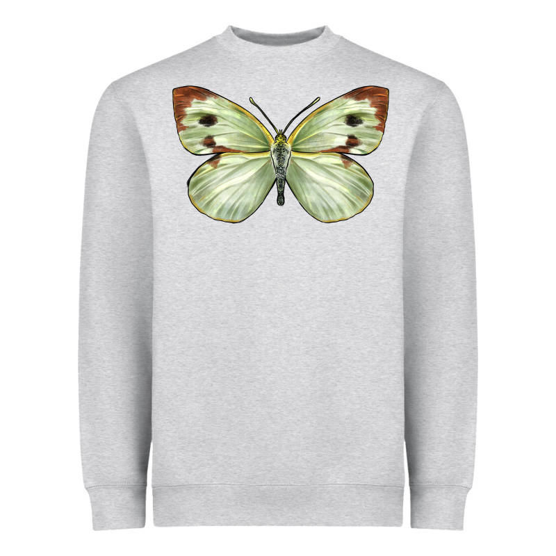 Cabbage Butterfly Heavyweight Sweatshirt by LillyAllenDesigns | Teevron