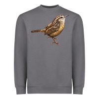 Storm Ccarolina Wren Heavyweight Sweatshirt - LillyAllenDesigns