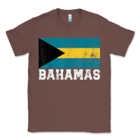 Chestnut Bahamas Flag Country Men Women Kids Christmas Gift Family Classic Tee - longCreatives