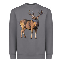 Storm Mule Buck Deer Heavyweight Sweatshirt - LillyAllenDesigns