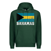 Sports Green Bahamas Flag Country Men Women Kids Christmas Gift Family Premium Hoodie - longCreatives