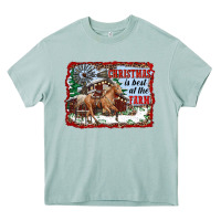 Arona christmas is best at the farm Heavy Core Tee - RanaPortraitStore