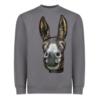 Storm Donkey  Face Heavyweight Sweatshirt - LillyAllenDesigns