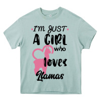 Arona Just A Girl Who Loves Llamas I Love Llamas Heavy Core Tee - Bettercallsaul