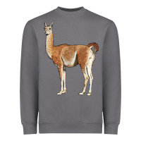 Storm guanaco llama Heavyweight Sweatshirt - LillyAllenDesigns
