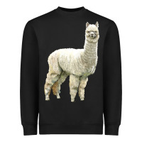 Black Alpaca Heavyweight Sweatshirt - LillyAllenDesigns